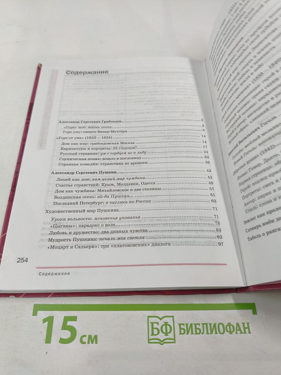 Литература. Учебник для 9 класса. Часть 2