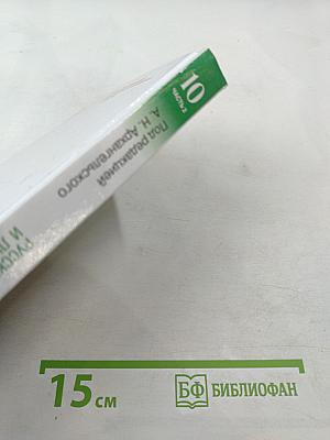 Русский язык и литература. Литература. 10 класс. Часть 2. Углубленный уровень