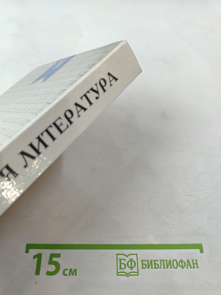 Русская литература 10 класс