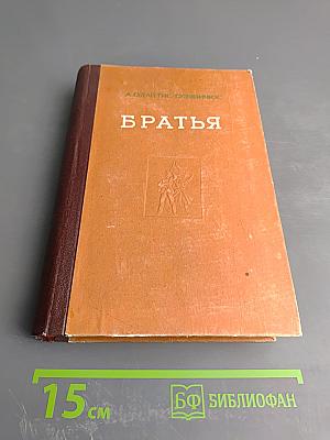 Братья (Книги первая и вторая)