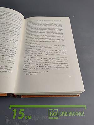 Братья (Книги первая и вторая)