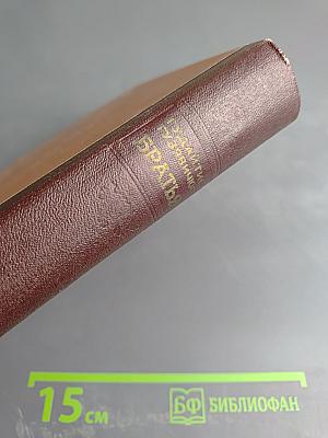 Братья (Книги первая и вторая)