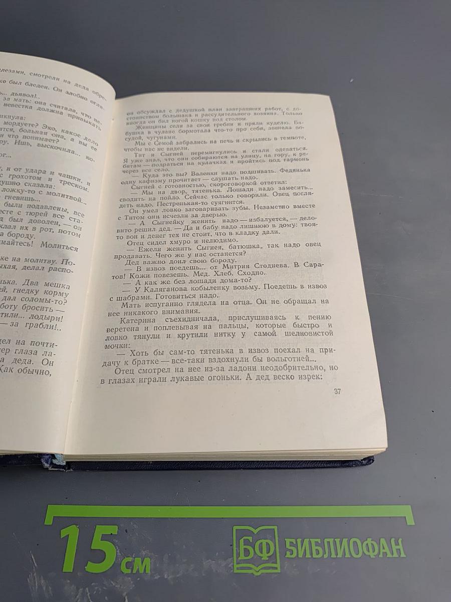 Повесть о детстве (Том четвертый)