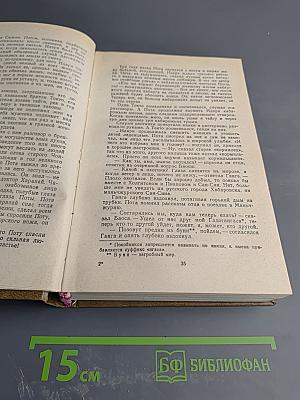 Амур Широкий. Книга II. Белая тишина