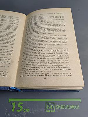 Амур широкий. Книга II. Белая тишина