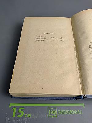 Амур широкий. Книга II. Белая тишина