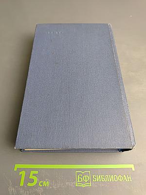 Амур широкий. Книга II. Белая тишина