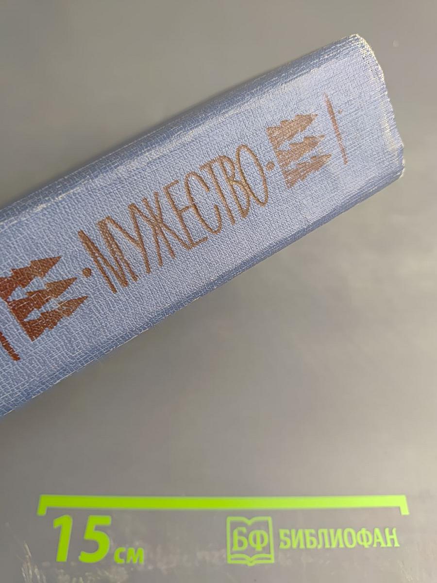 Амур широкий. Книга II. Белая тишина