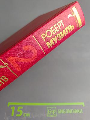 Человек без свойств. Книга вторая