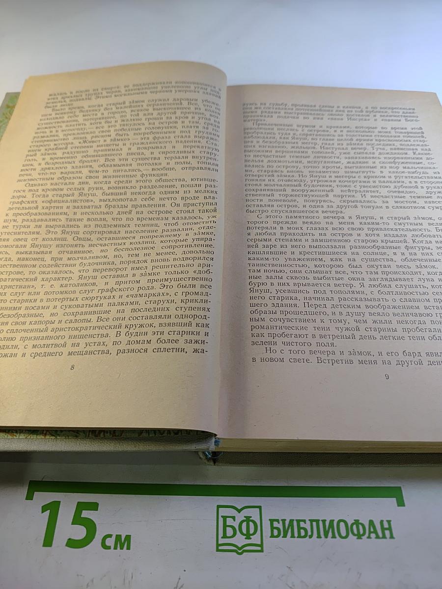 Собрание сочинений. Том 2. Повести и рассказы