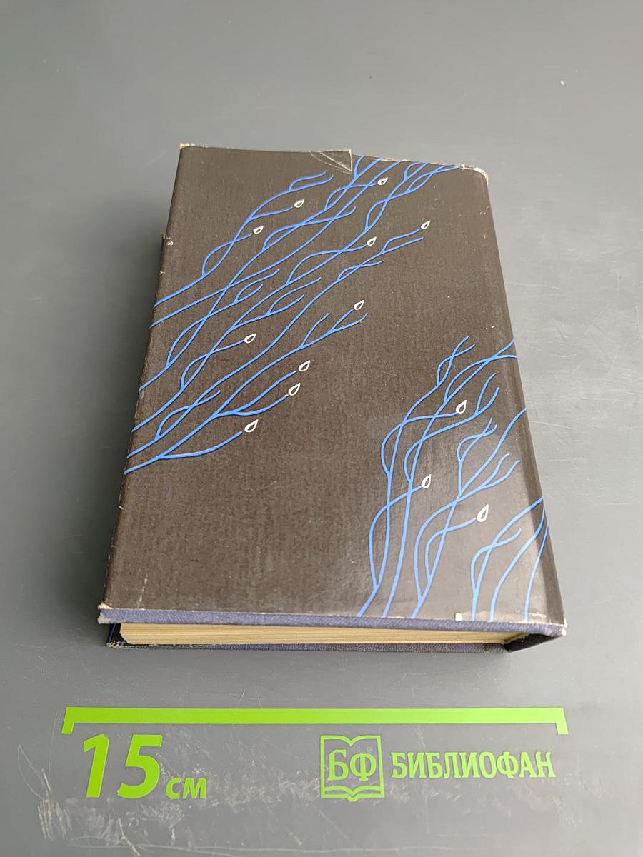 Собрание сочинений в двух томах. Том 2