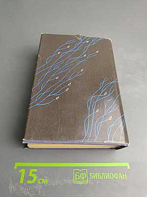 Собрание сочинений в двух томах. Том 2