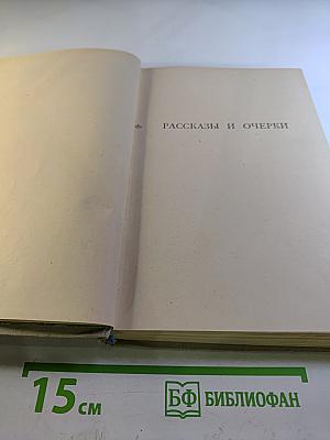 Собрание сочинений. Том 3: Рассказы и очерки