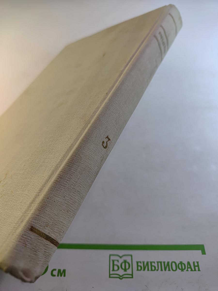 Собрание сочинений. Том 3: Рассказы и очерки