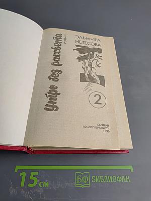 Утро без рассвета. Книга 2