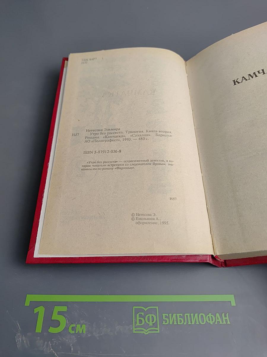 Утро без рассвета. Книга 2
