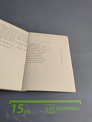 Полустанок юности