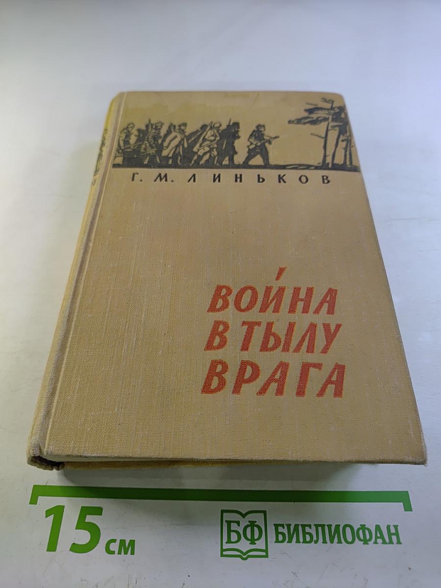 Война в тылу врага