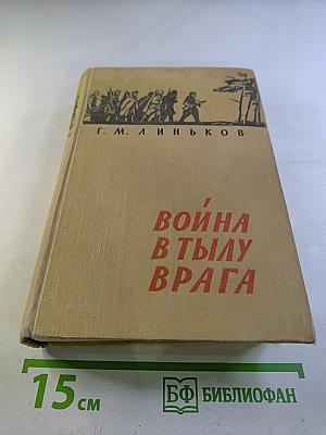 Война в тылу врага