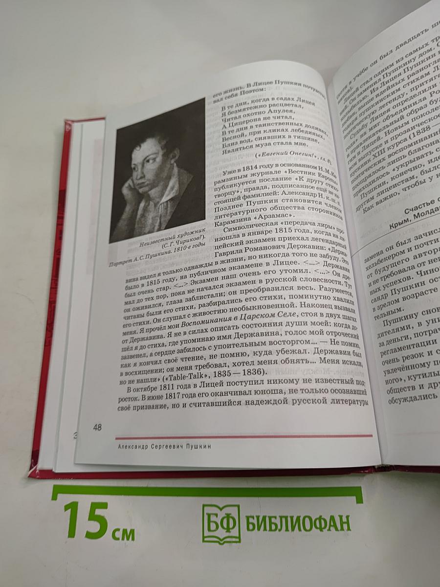 Литература. Учебник для 9 класса. В двух частях. Часть 2