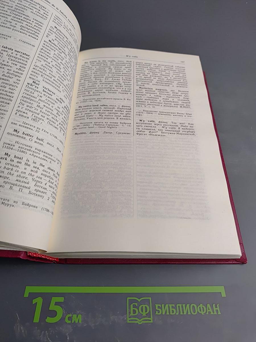 Словарь иноязычных выражений и слов