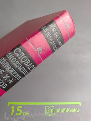 Словарь иноязычных выражений и слов