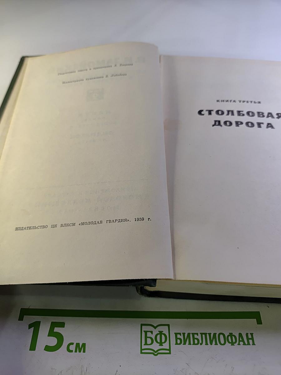 Собрание сочинений в четырех томах. Том 2. Лапти (Книга третья), Подпасок