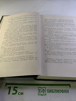 Собрание сочинений в четырех томах. Том 2. Лапти (Книга третья), Подпасок