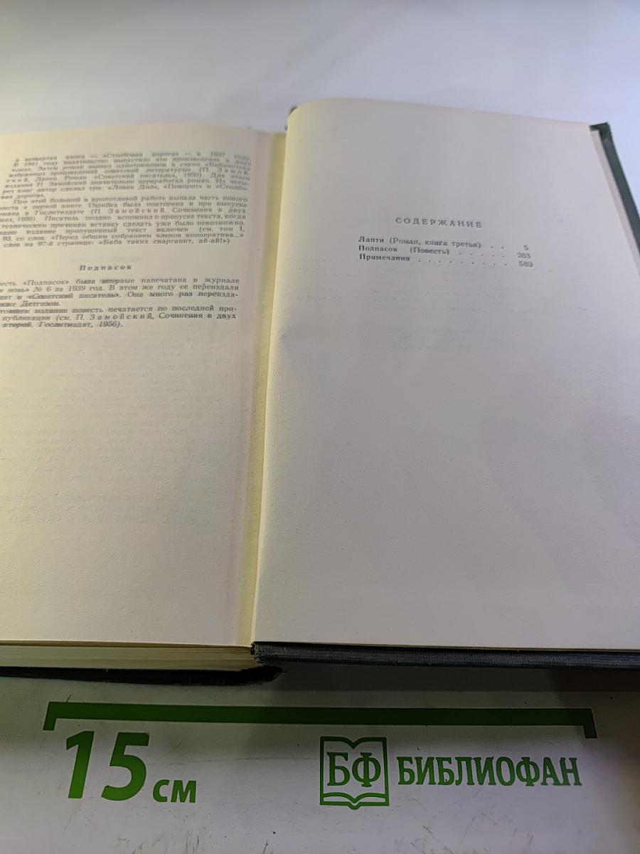 Собрание сочинений в четырех томах. Том 2. Лапти (Книга третья), Подпасок