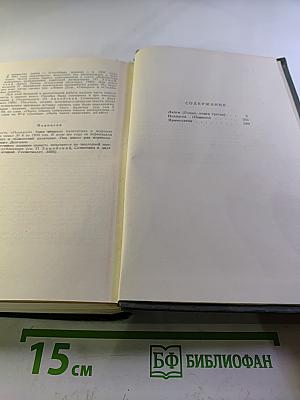 Собрание сочинений в четырех томах. Том 2. Лапти (Книга третья), Подпасок