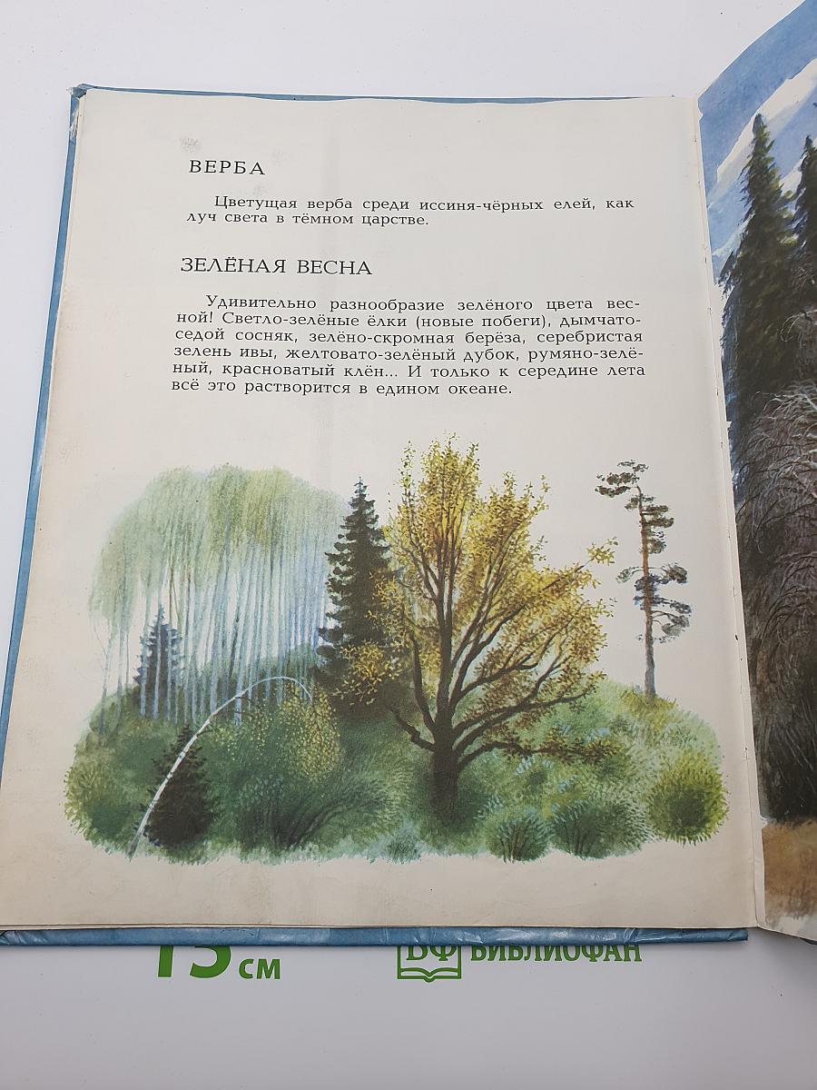 Где лето с зимою встречаются
