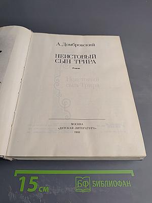 Неистовый сын Трира