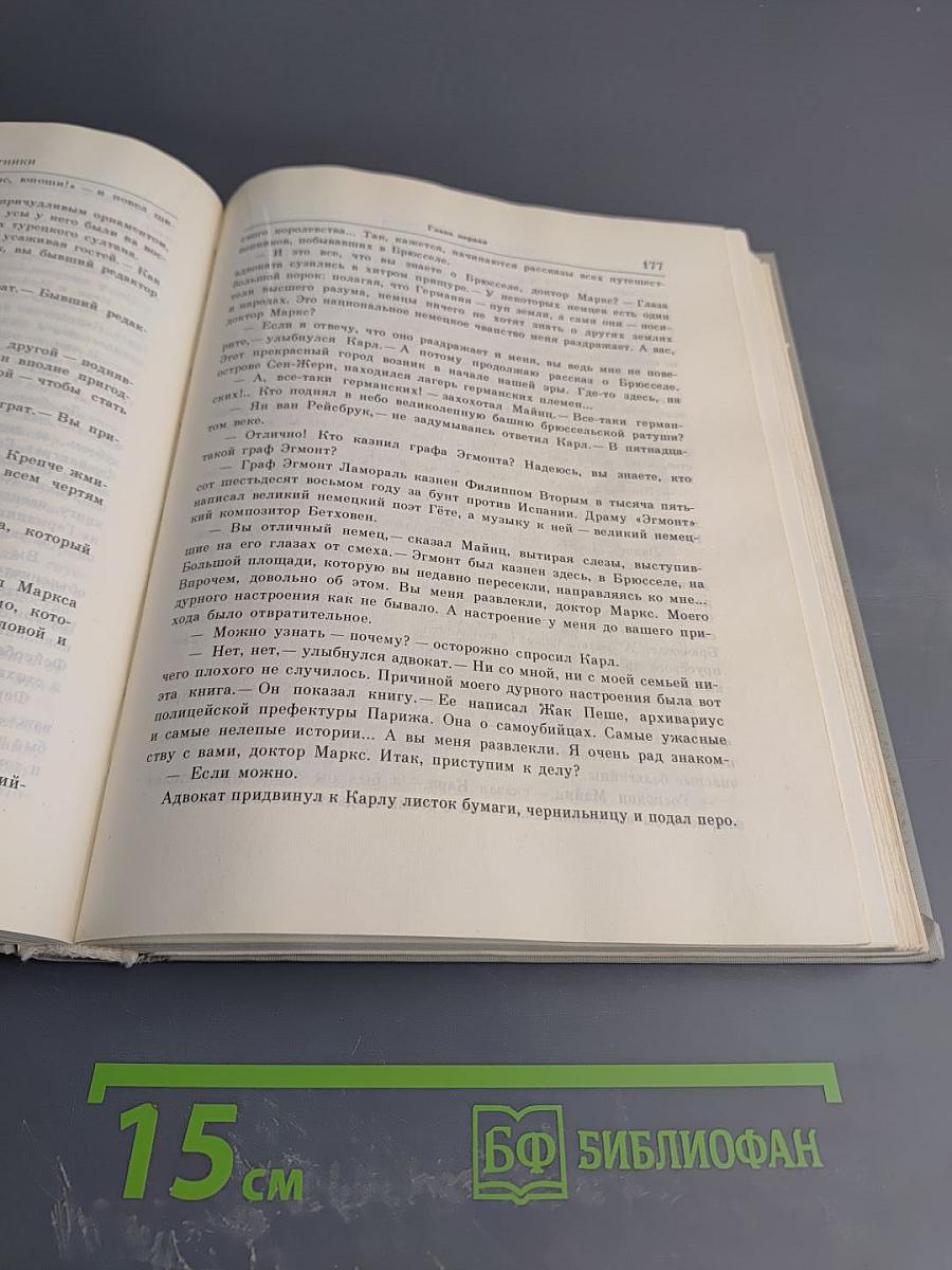 Неистовый сын Трира