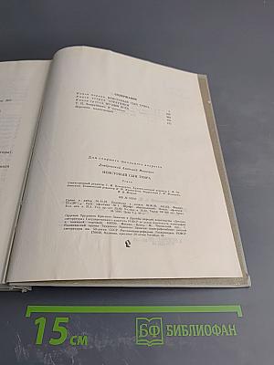 Неистовый сын Трира