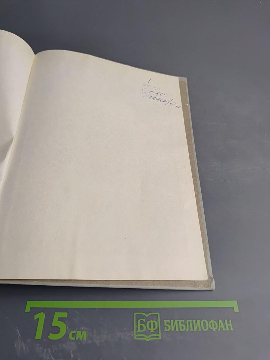 Неистовый сын Трира