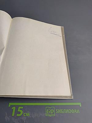 Неистовый сын Трира