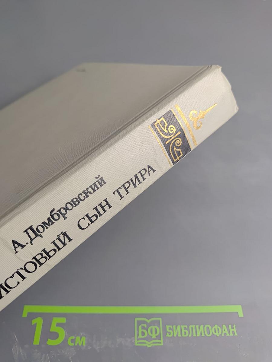 Неистовый сын Трира