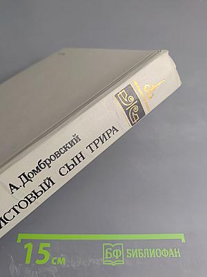 Неистовый сын Трира