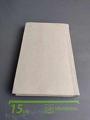 Северная Аврора