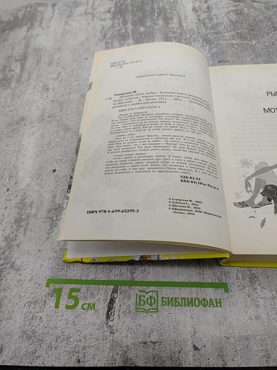 Дневник моей любви. Большая книга романов для девочек
