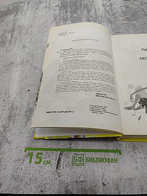 Дневник моей любви. Большая книга романов для девочек