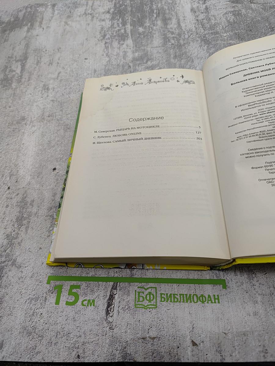 Дневник моей любви. Большая книга романов для девочек