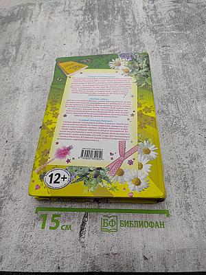 Дневник моей любви. Большая книга романов для девочек