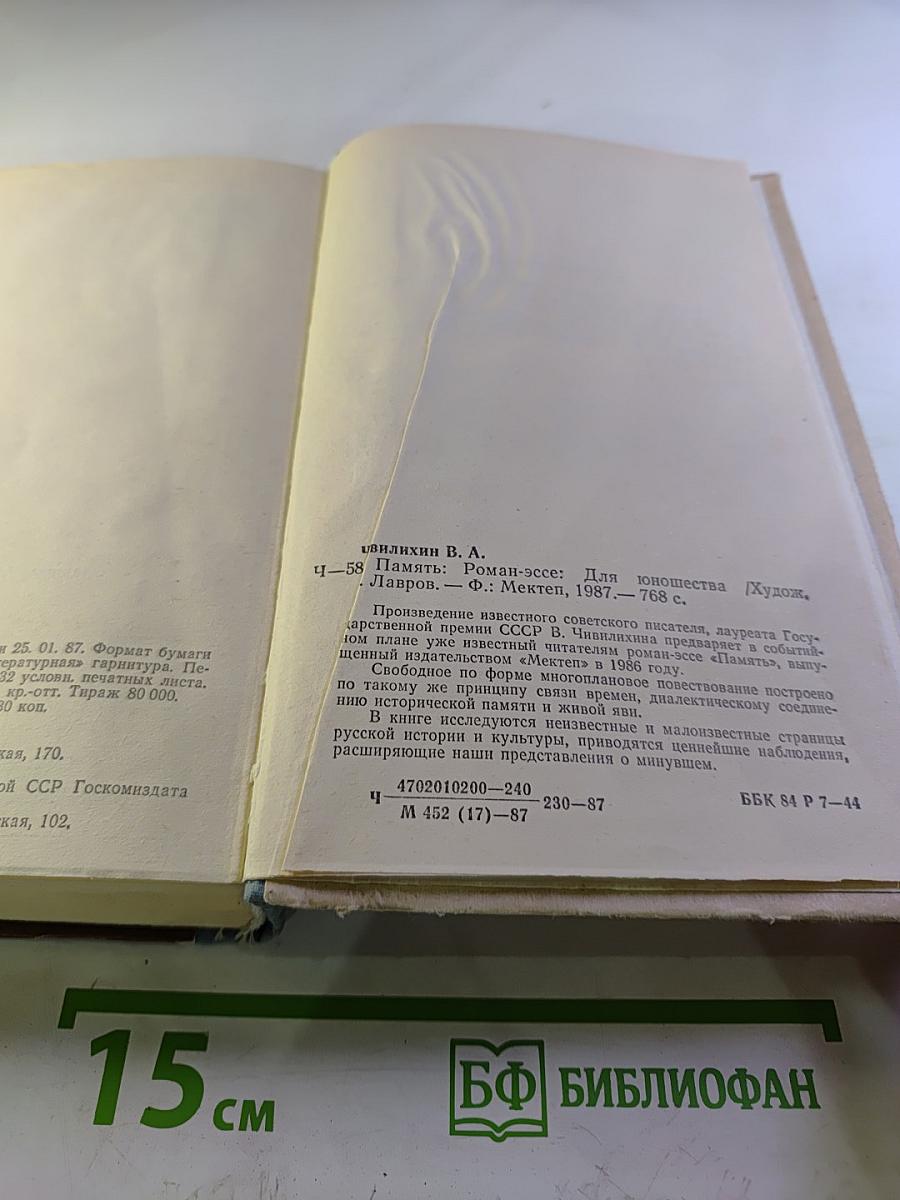 Память. Роман-эссе. Книга первая