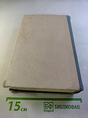 Память. Роман-эссе. Книга первая