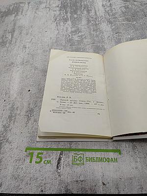 Прямой взгляд