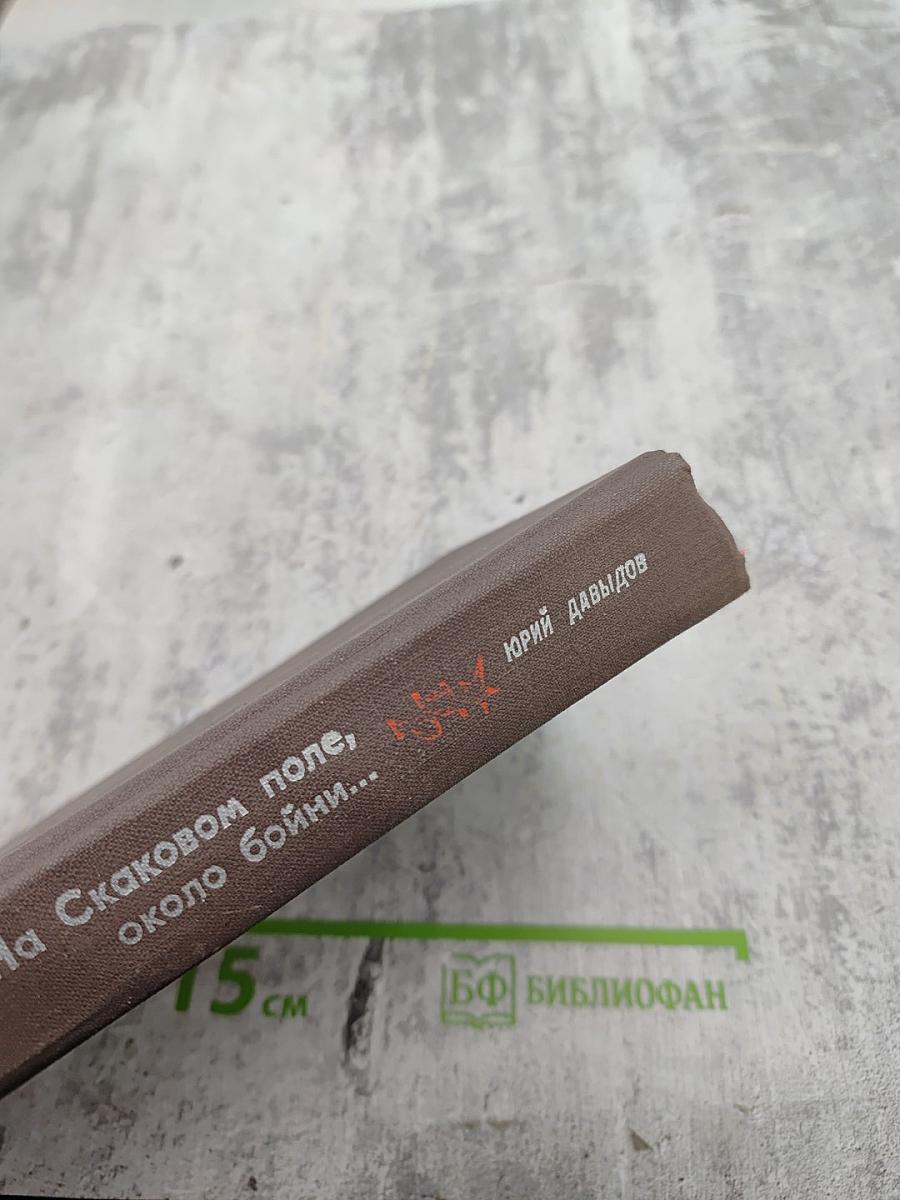 На Скаковом поле, около бойни...