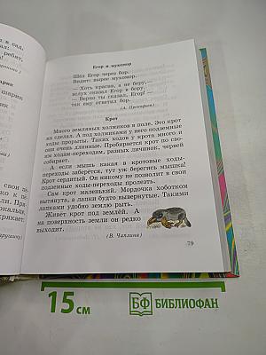 Правильно, складно, красиво учимся мы говорить. Книга II