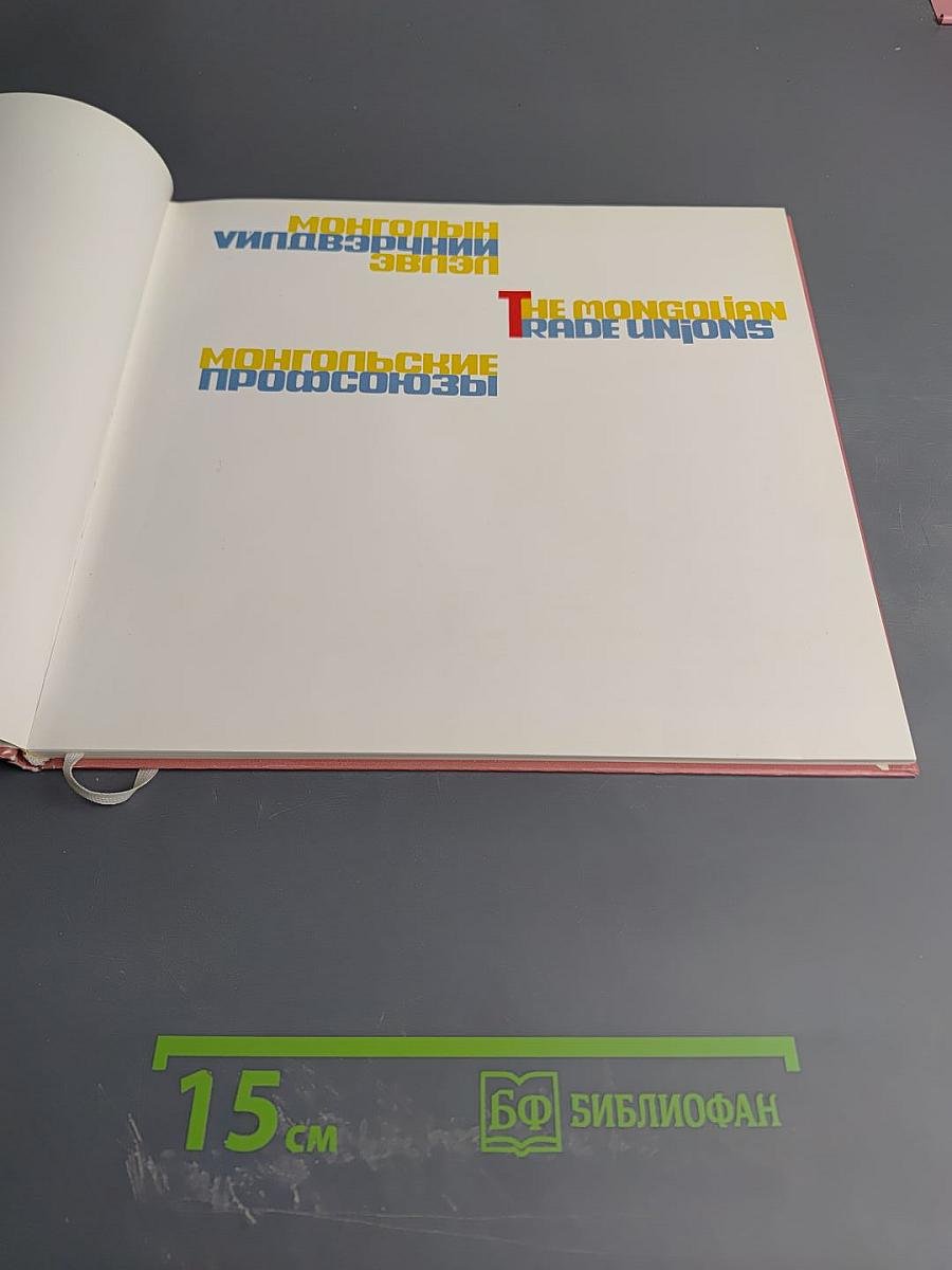 Монгольские профсоюзы