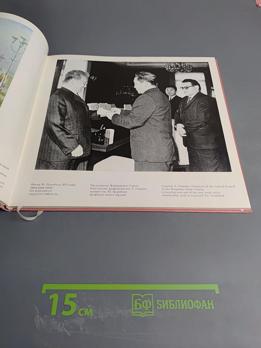 Монгольские профсоюзы